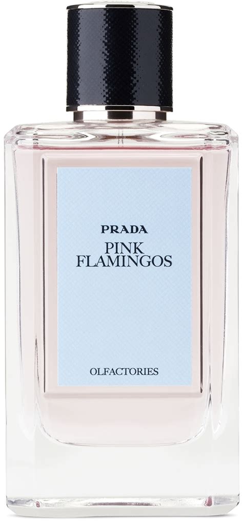 prada olfactories pink flamingos|Olfactories .